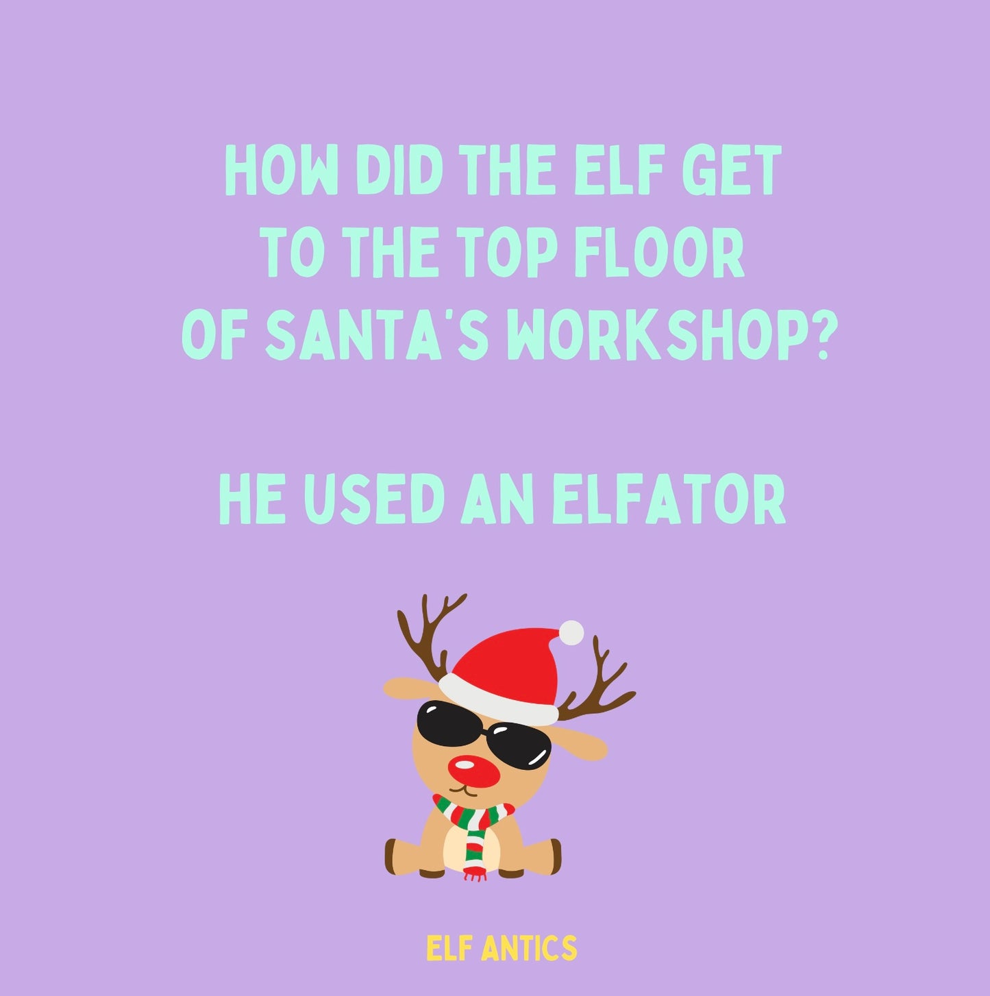 BUDDY KIT: 24 Days of Elfing 🥳❤️ ** SOLD OUT **