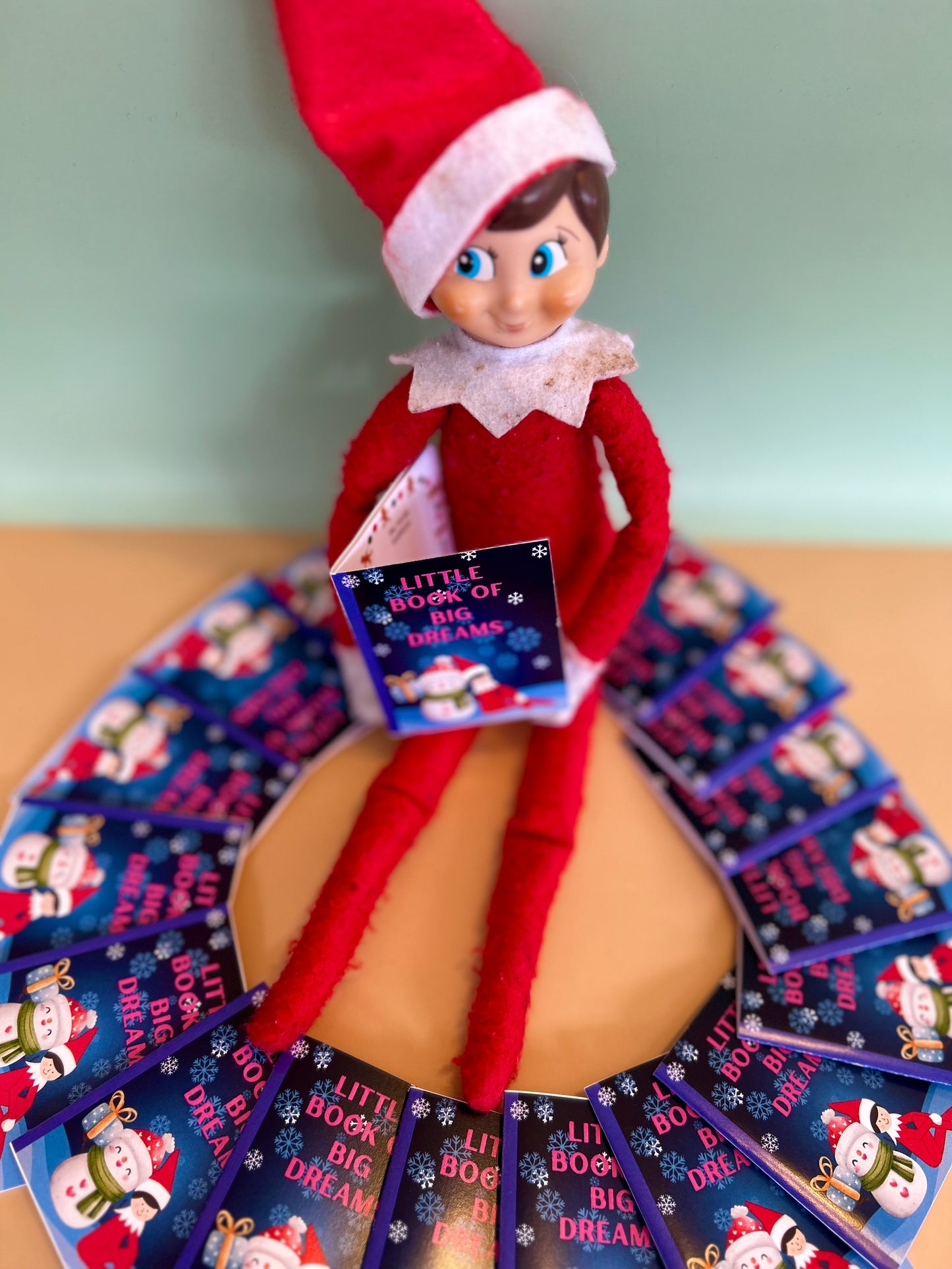 BUDDY KIT: 24 Days of Elfing 🥳❤️ ** SOLD OUT **