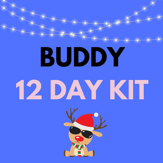 BUDDY KIT: 12 Days of Elfing 🥳✨ SOLD OLD